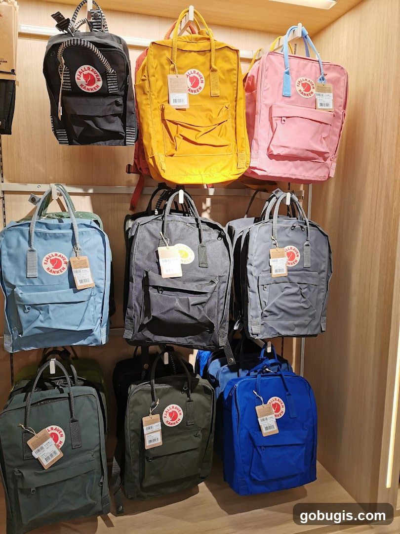 Backpacks on Display