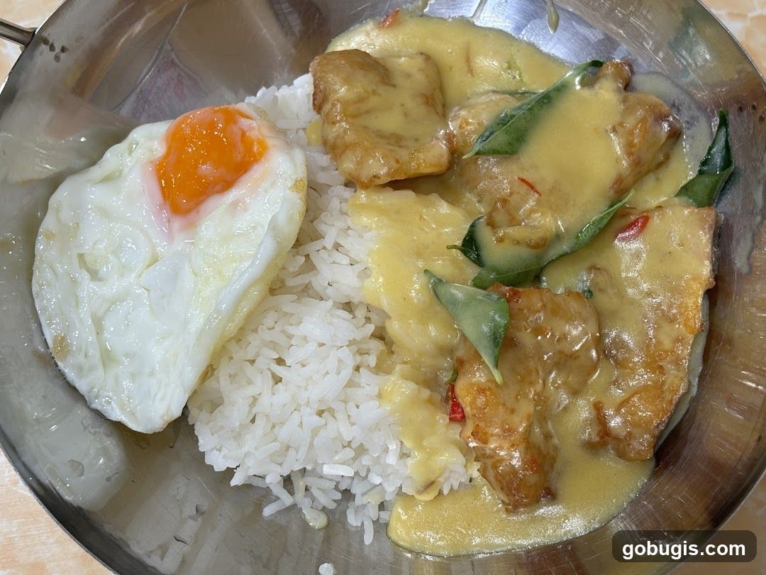 Curry Chicken Rice with Fried Egg