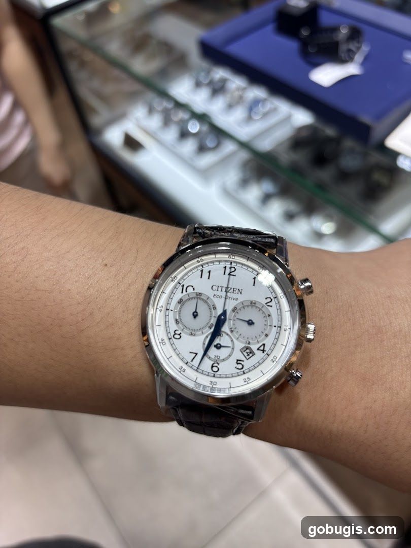 Citizen Eco-Drive Watch