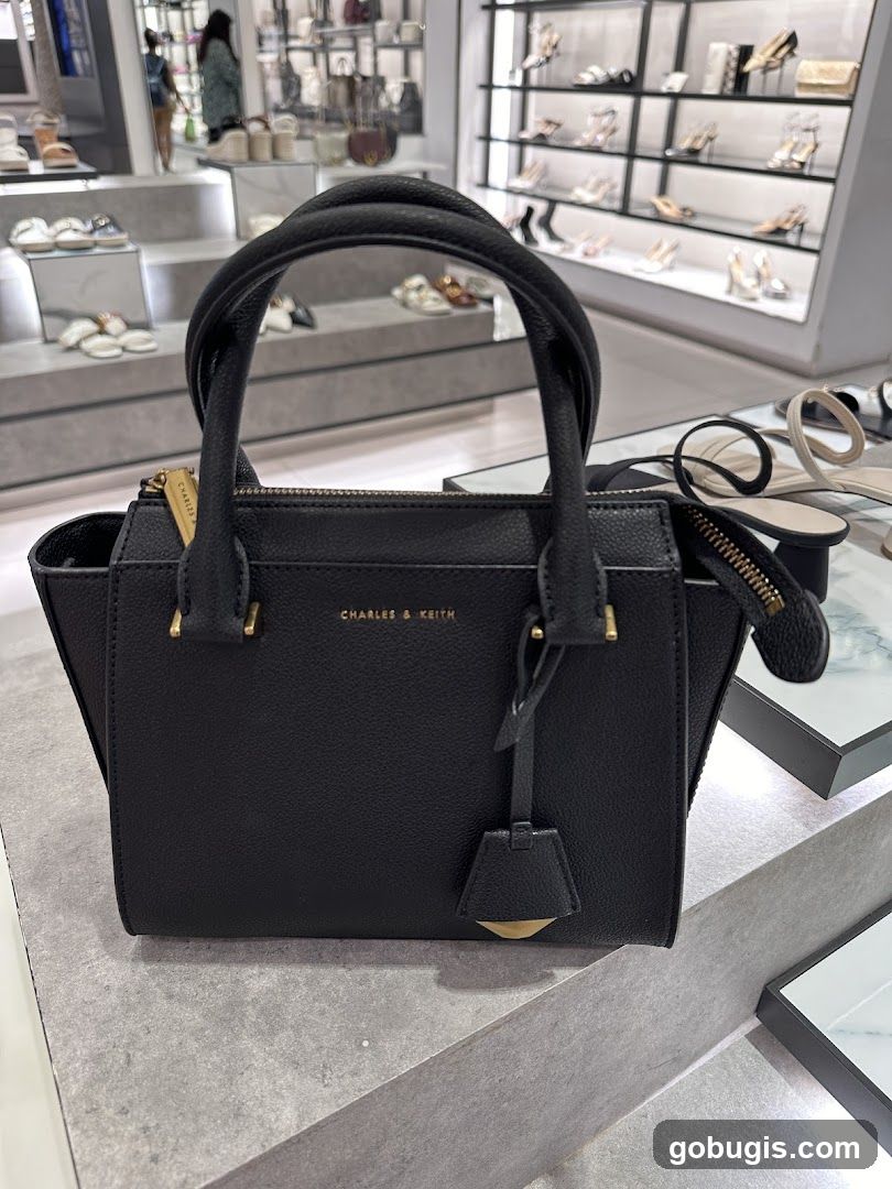 Black Handbag