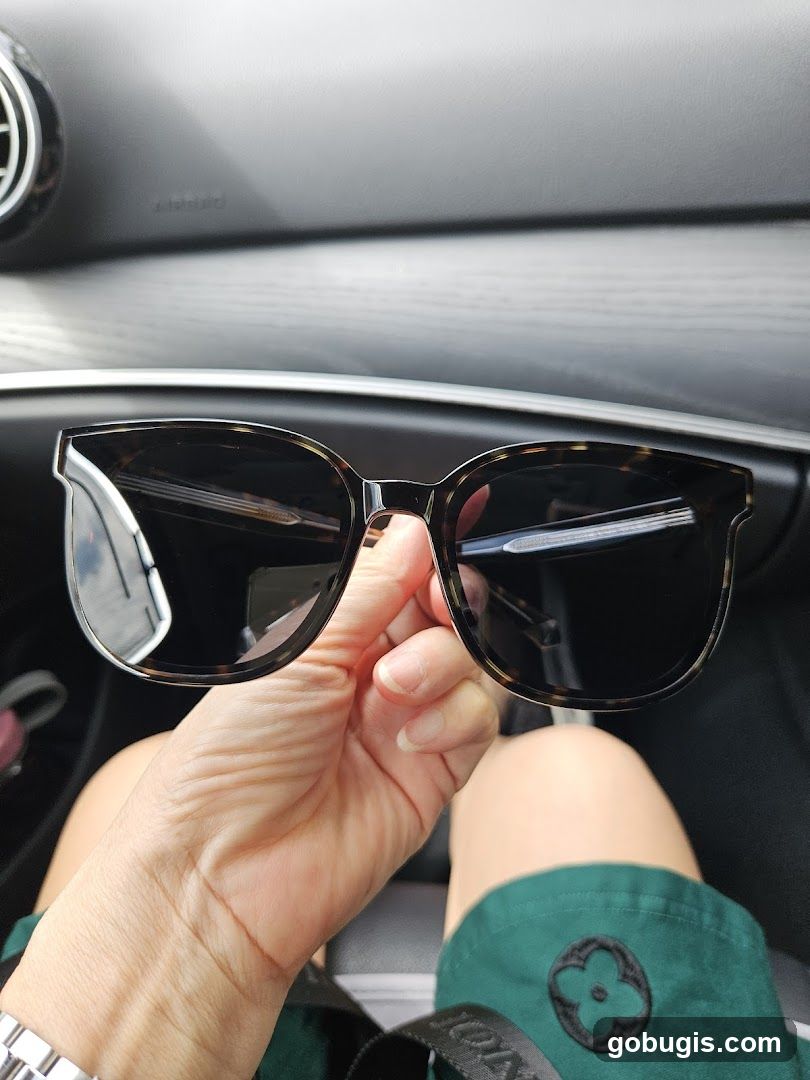 Tortoiseshell Sunglasses