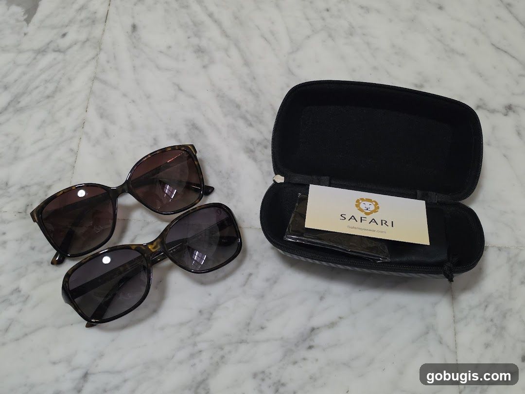 Sunglasses and Case
