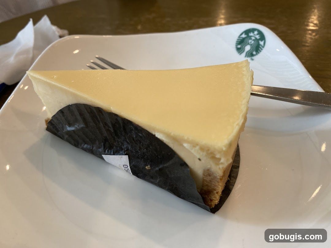Cheesecake Slice