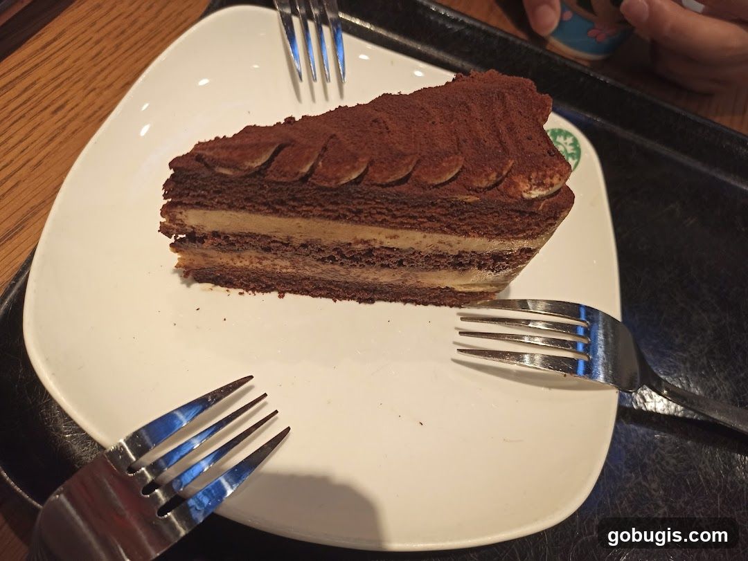 Chocolate Tiramisu Slice