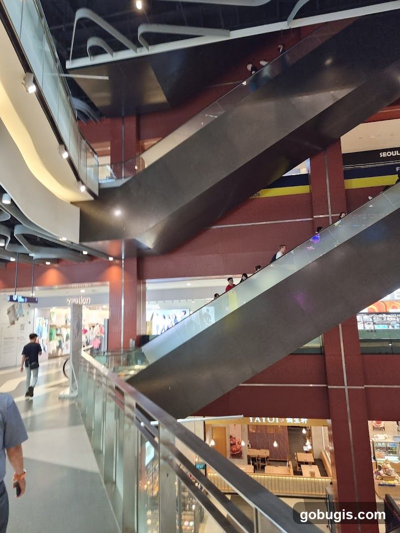 Mall Interior with Escalators