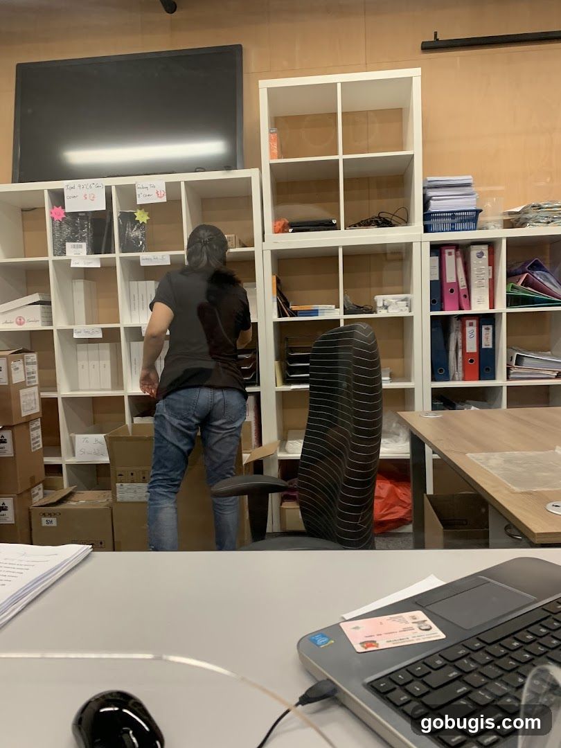 Office Storage and Workspace
