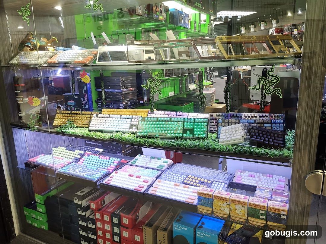 Computer Keyboards Display