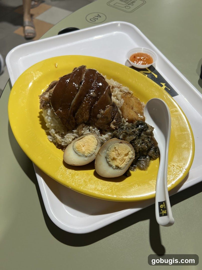 Braised Pork Rice with Egg