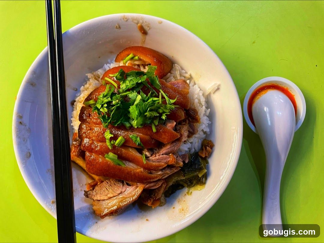 Braised Pork Rice