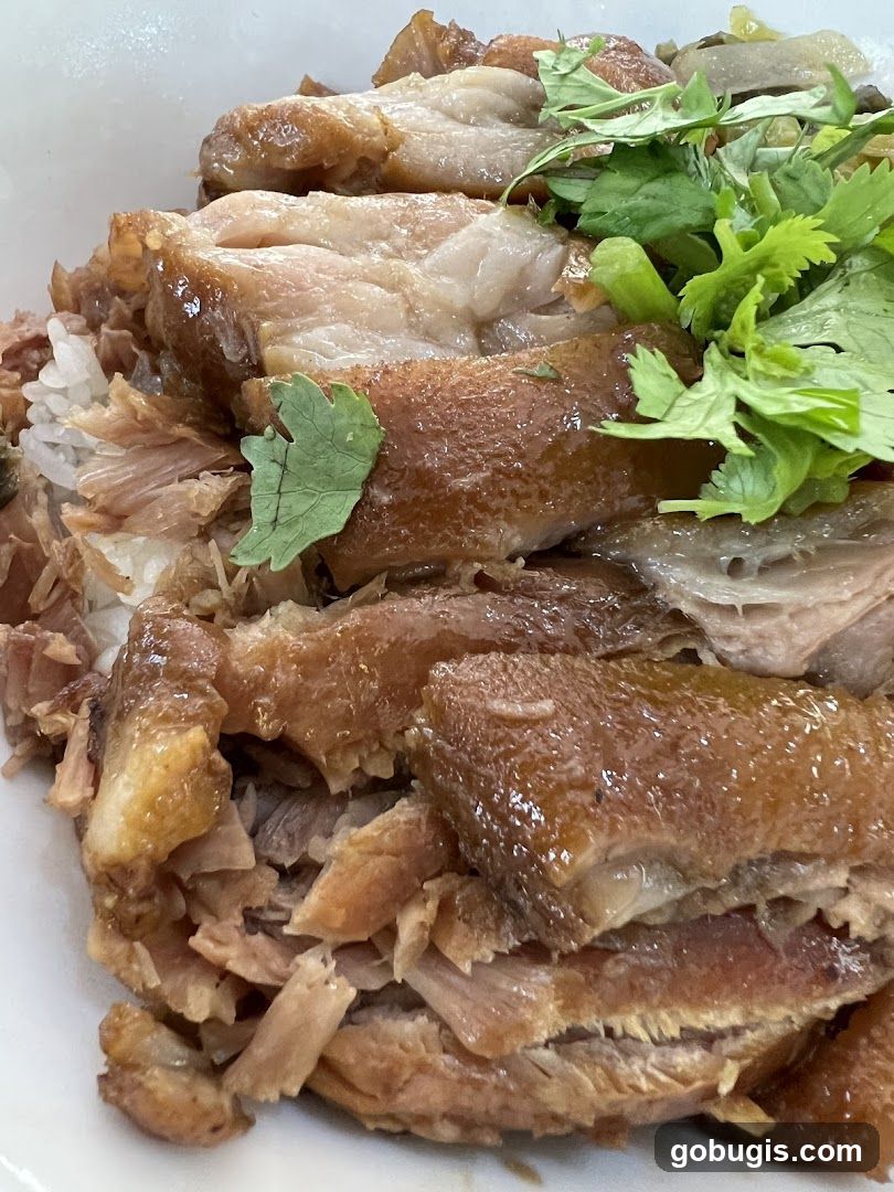 Braised Pork Belly with Rice