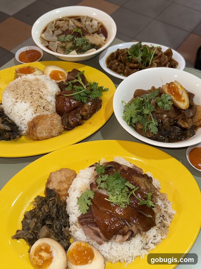 Braised Pork Rice and Dumplings