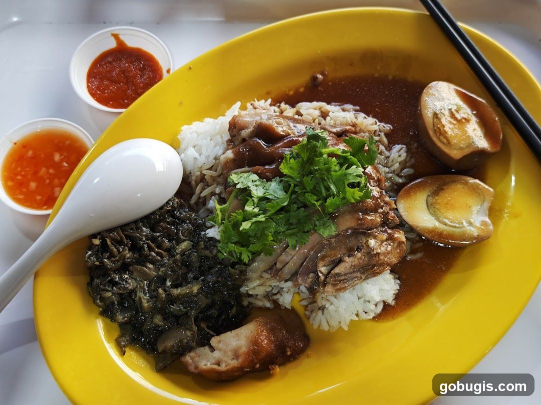 Braised Pork Rice