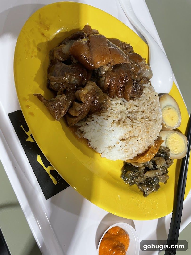 Braised Pork Rice