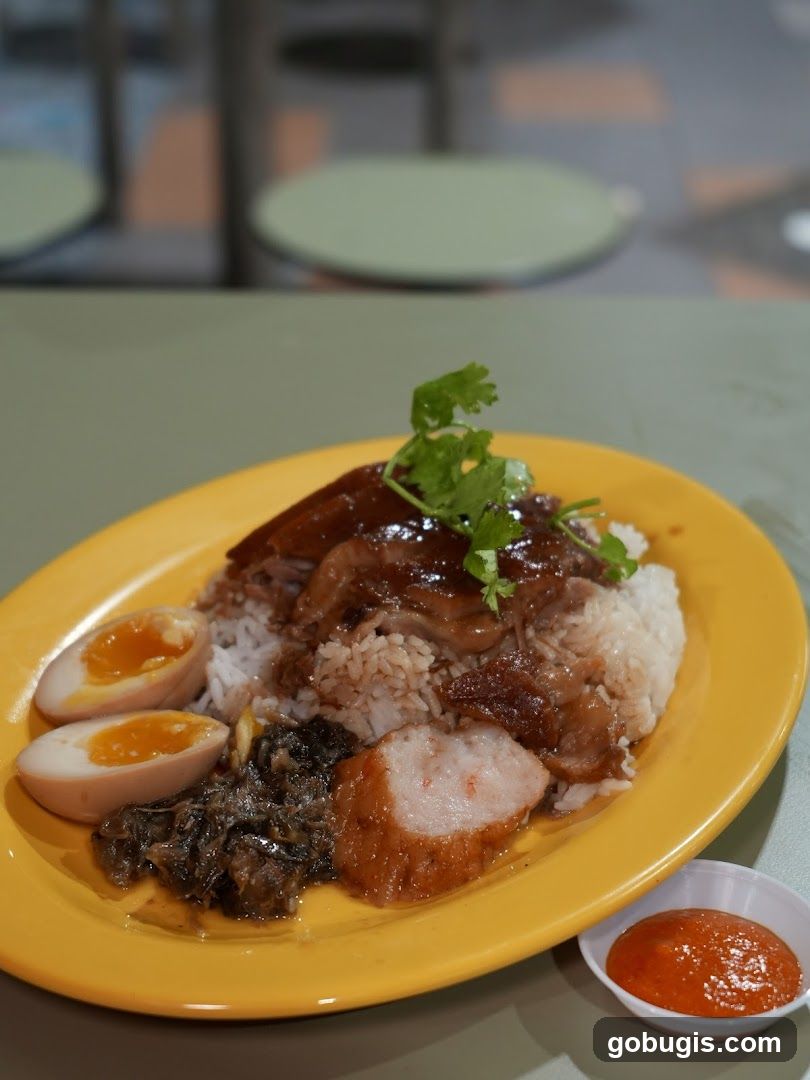 Braised Pork Rice