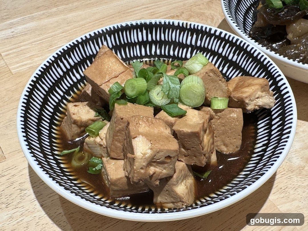 Braised Tofu with Scallions