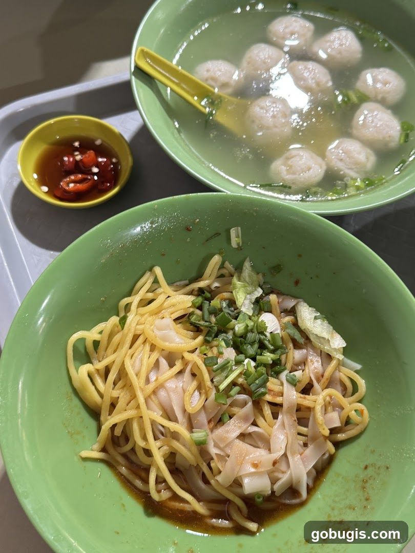 Noodles and Meatball Soup