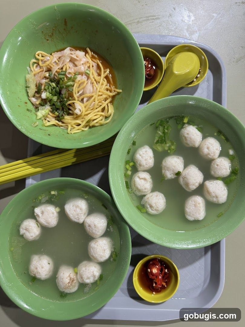 Noodles and Fishball Soup