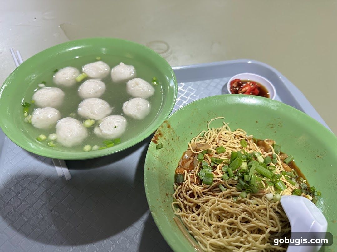 Noodles and Fishball Soup