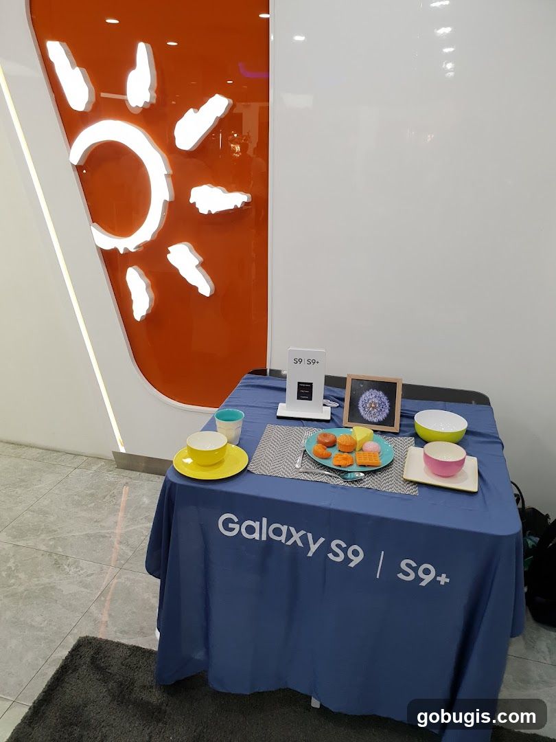 Galaxy S9+ Display