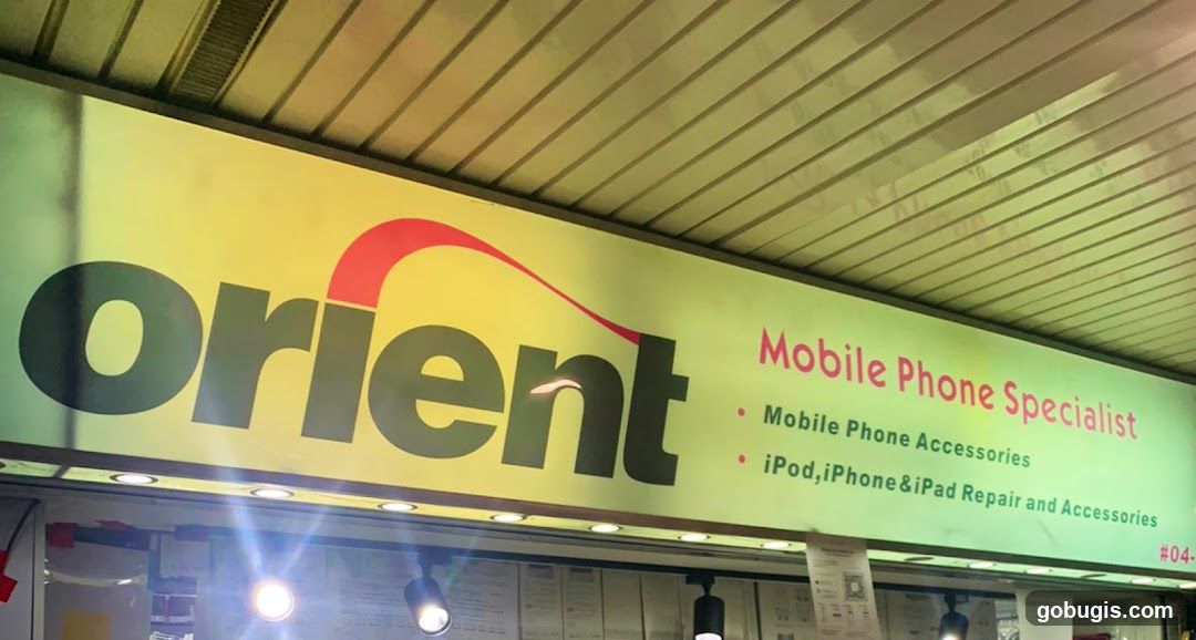 Orient Electronics