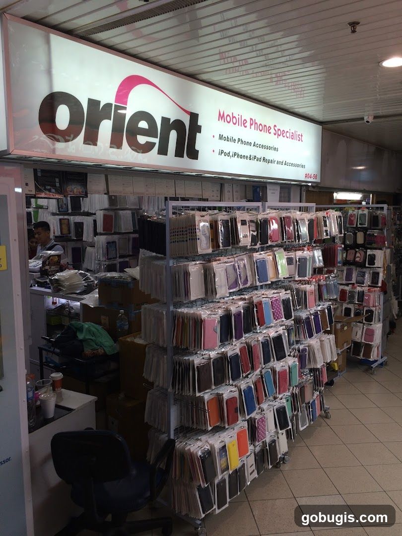 Orient Electronics