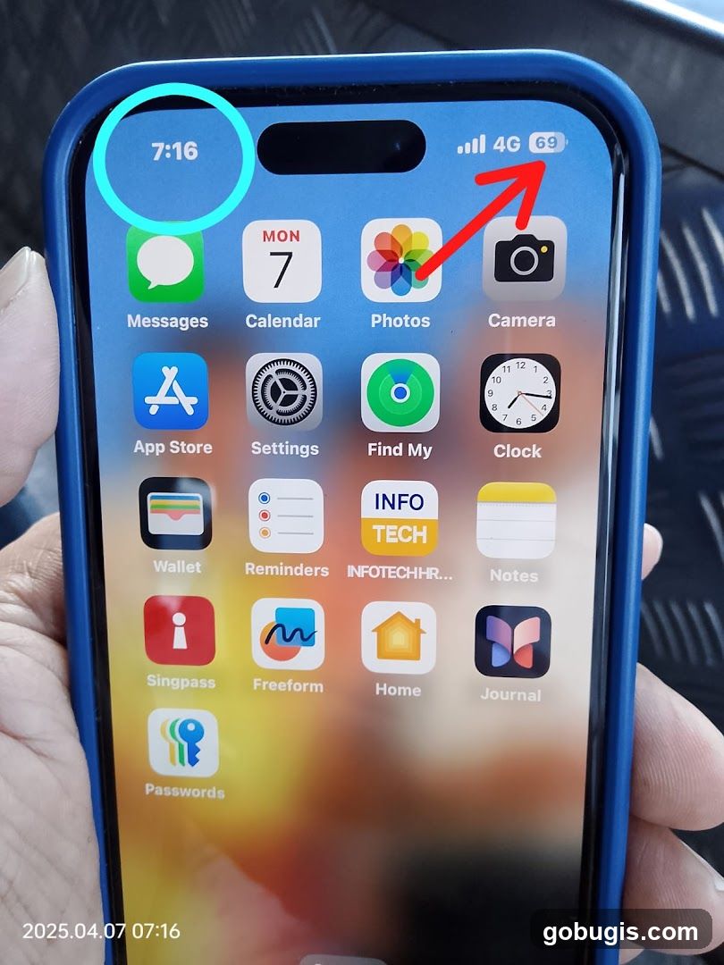 iPhone Home Screen