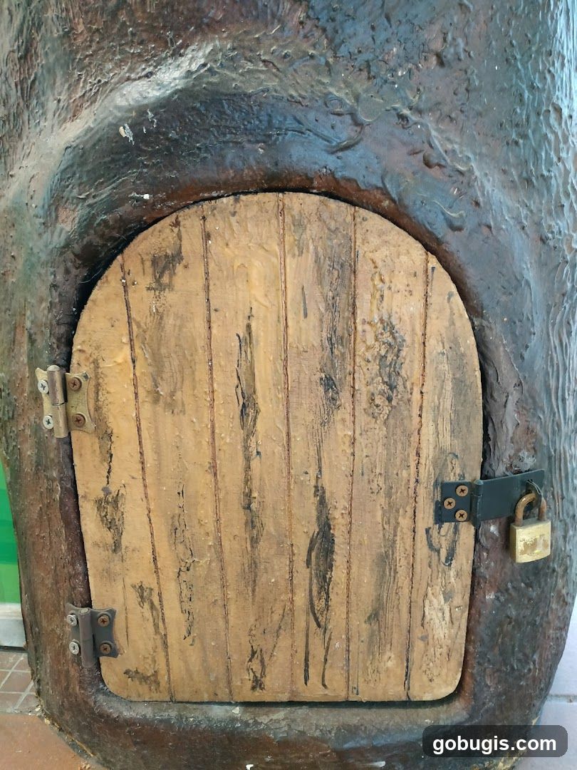 Small wooden door on a tree-like structure