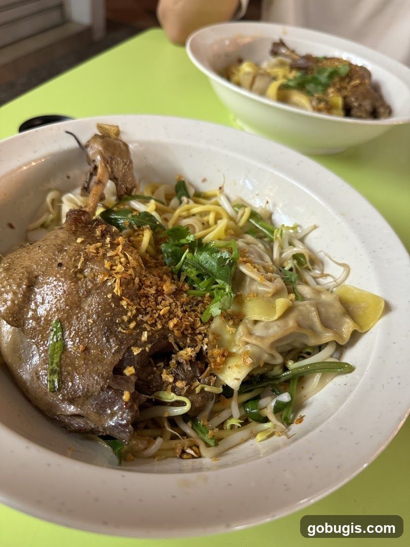 Duck Noodles