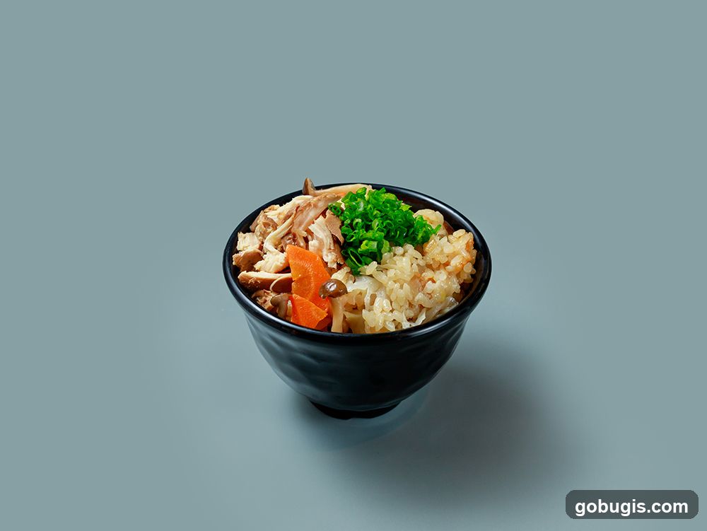Bowl of Rice with Toppings