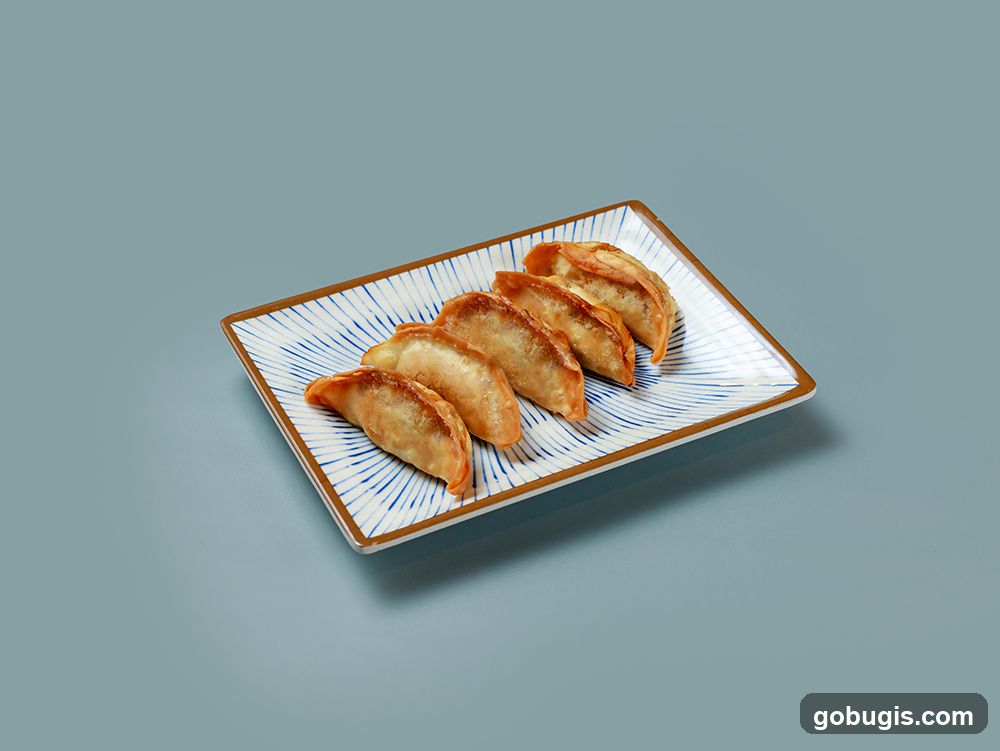 Pan-fried dumplings