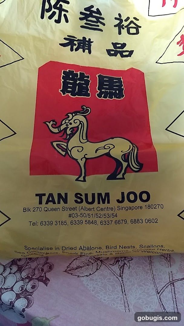 Tan Sum Joo Bag