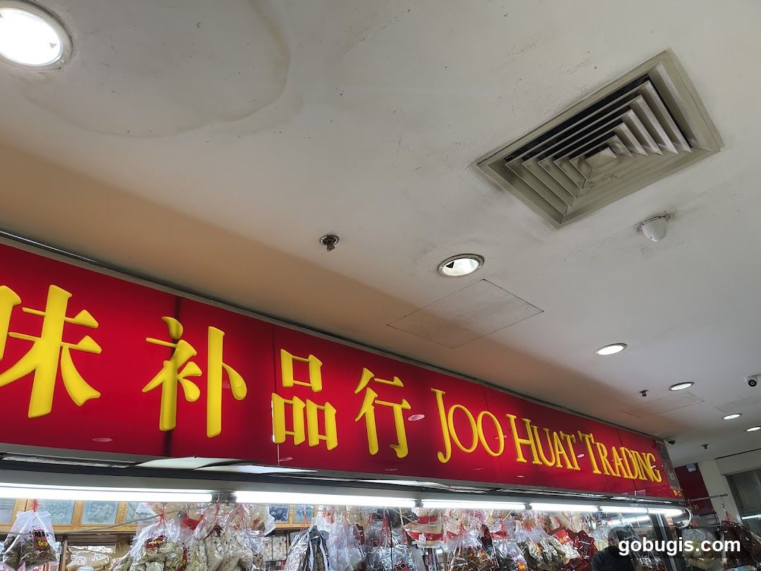 Tan Sum Joo 陈叁裕 LongMa Dragon Horse