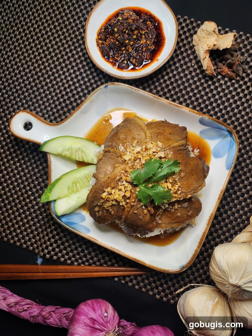 Braised Meat with Rice