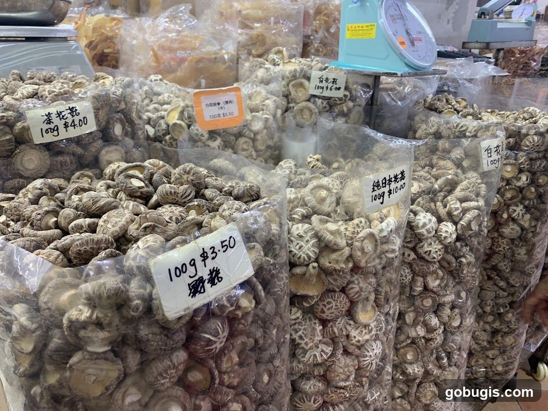 Dried Mushrooms