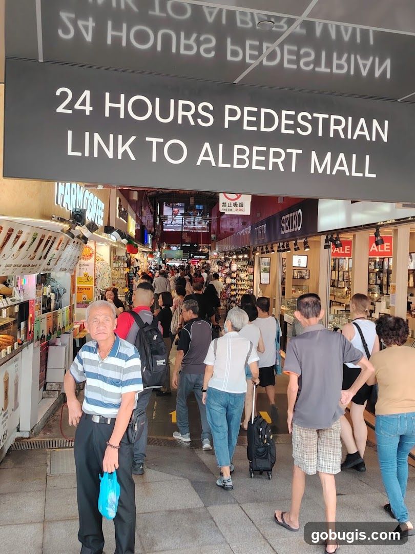 Pedestrian Link to Albert Mall