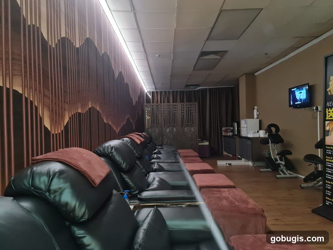 Massage Chairs and Footrests