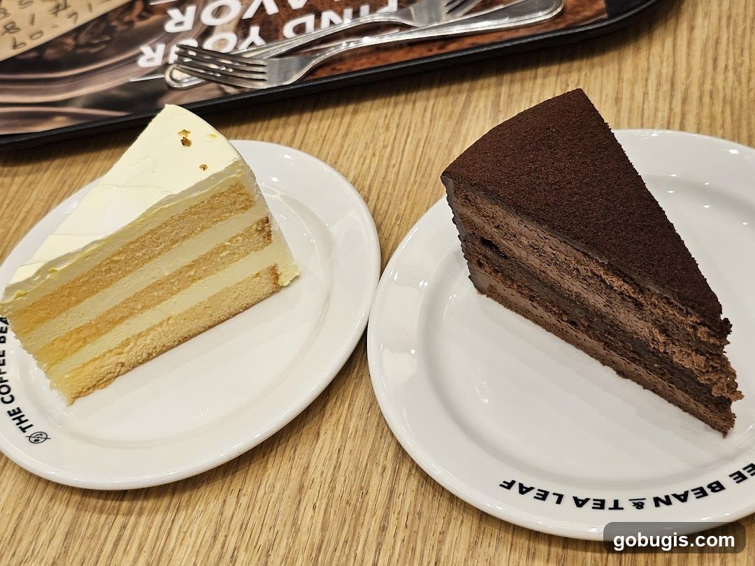 Two Slices of Cake