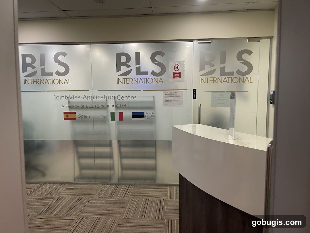 BLS International Indian Visa and Consular Services
