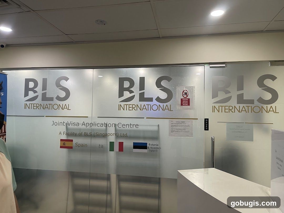 BLS International Indian Visa and Consular Services
