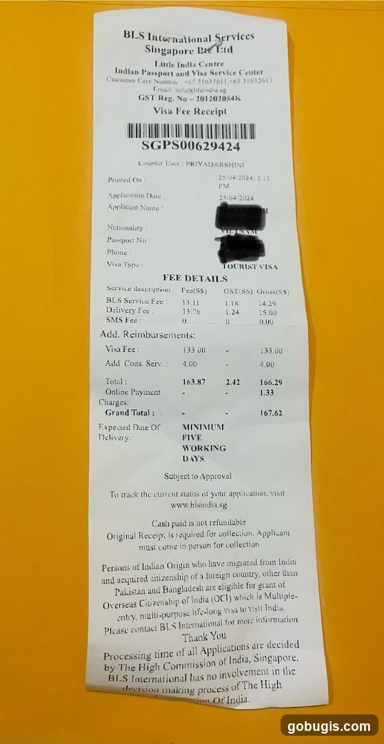 Visa Fee Receipt