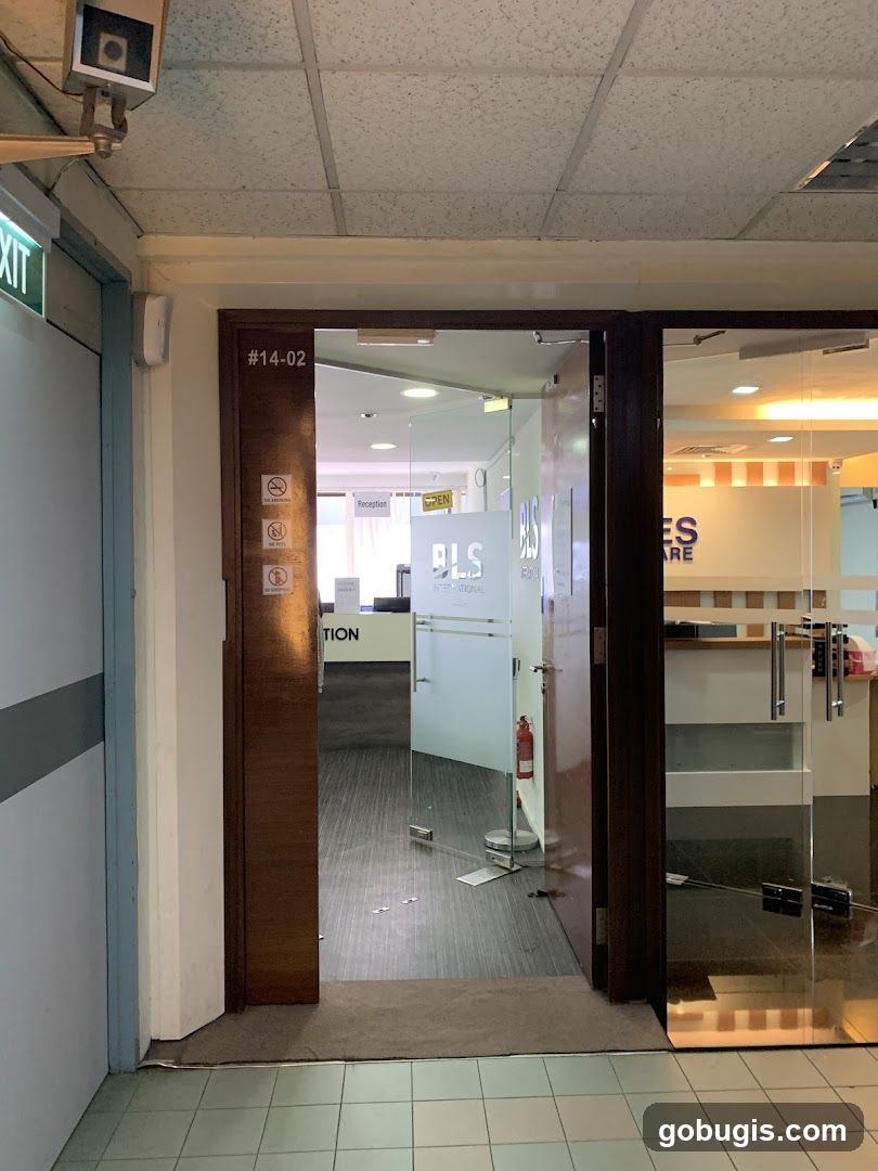 BLS International Indian Visa and Consular Services