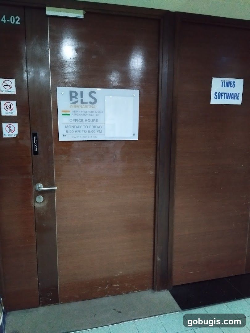 BLS International Indian Visa and Consular Services