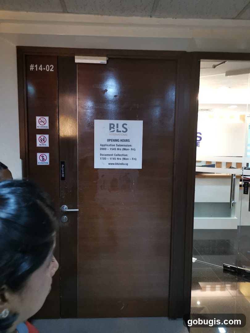 BLS International Indian Visa and Consular Services