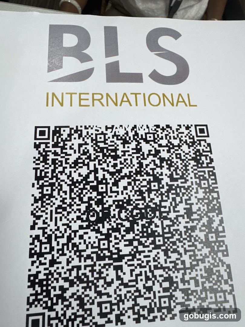BLS International QR Code