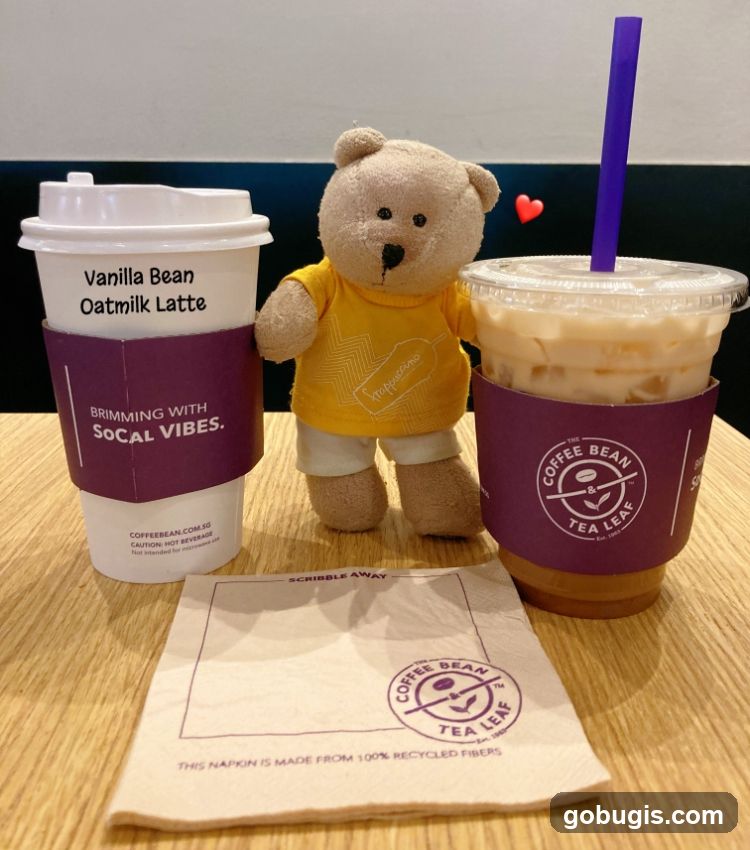 Coffee Drinks with Teddy Bear