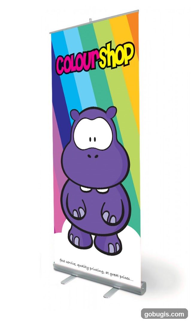 Colour Shop Retractable Banner