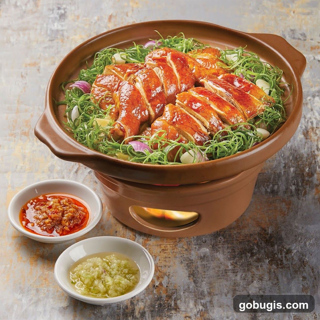 Claypot Chicken