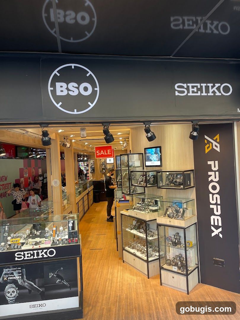 BSO Watch