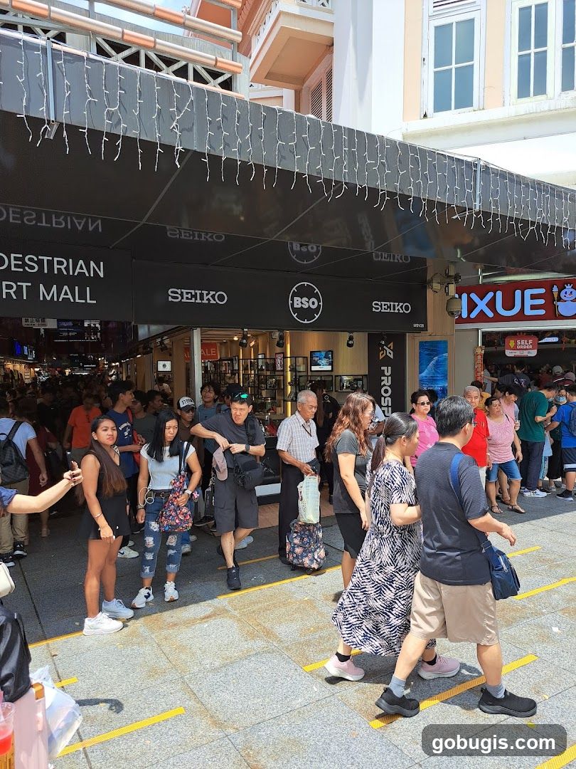 Pedestrian Mall Storefront