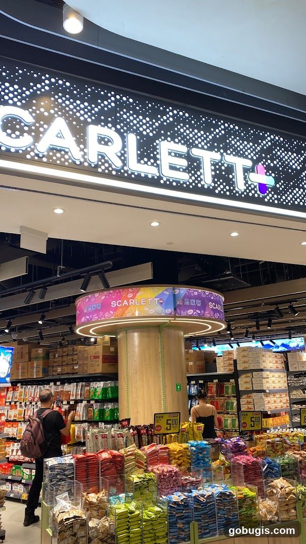 Scarlett+ Store Interior